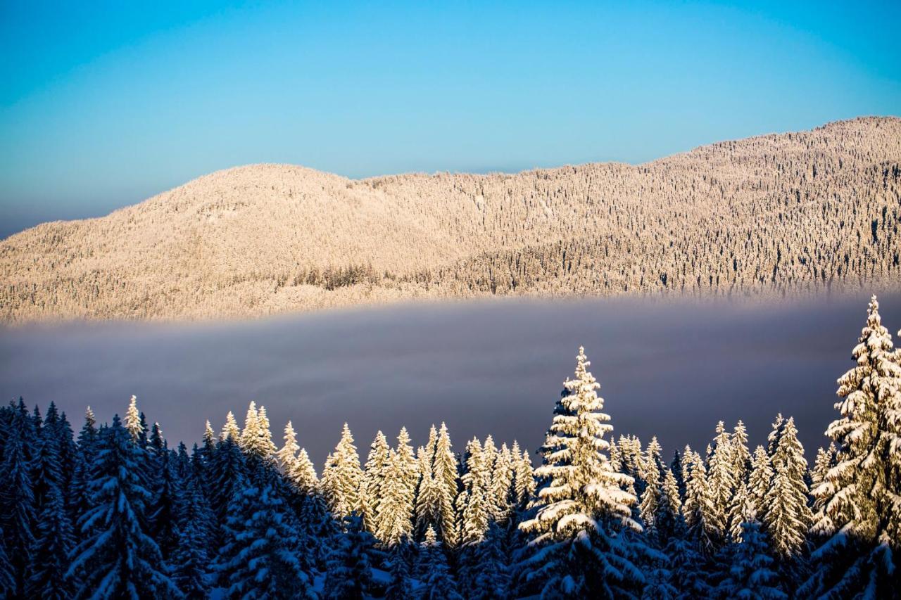 Sunny Hills Ski&Wellness Pamporovo Esterno foto