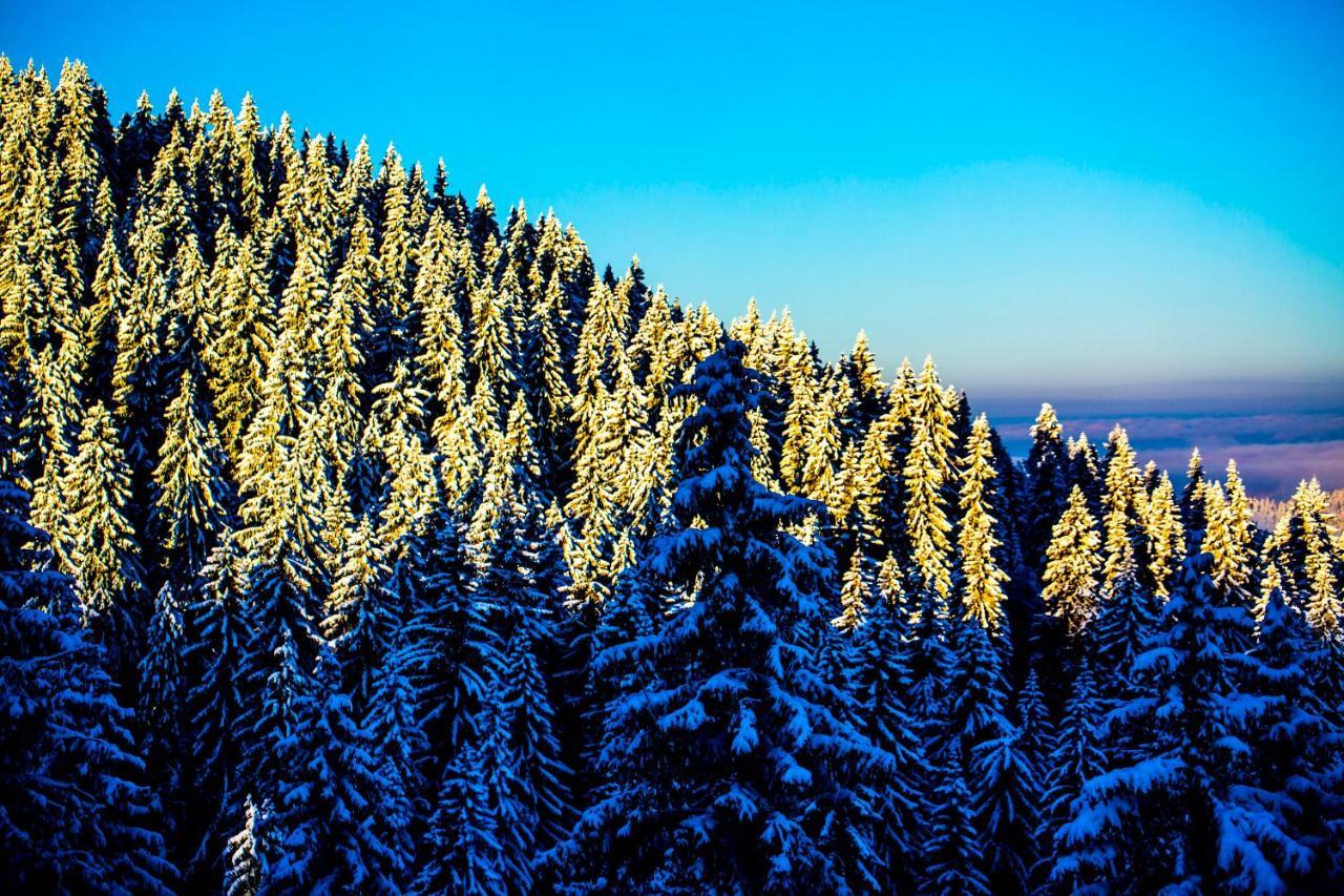 Sunny Hills Ski&Wellness Pamporovo Esterno foto