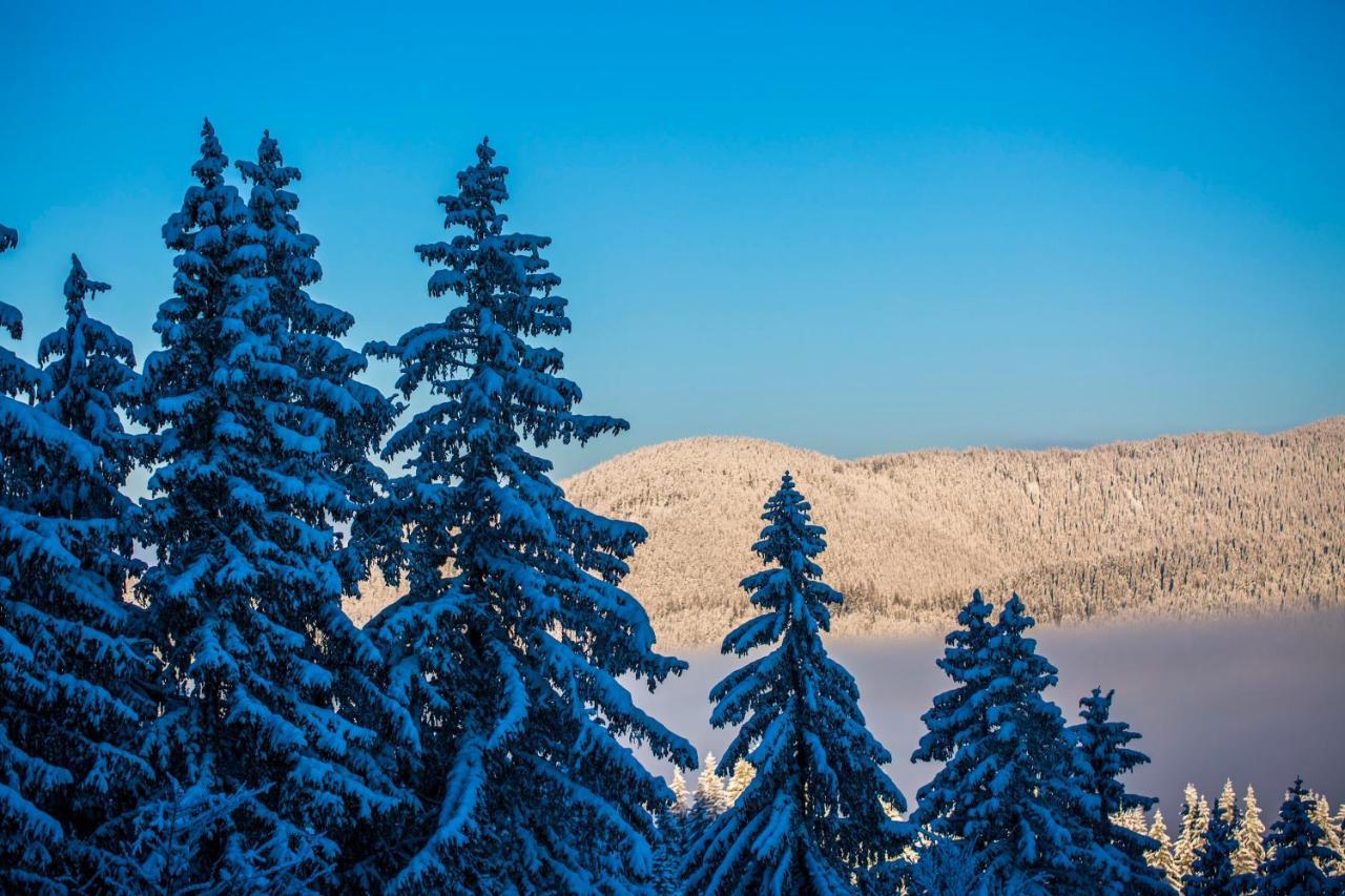 Sunny Hills Ski&Wellness Pamporovo Esterno foto