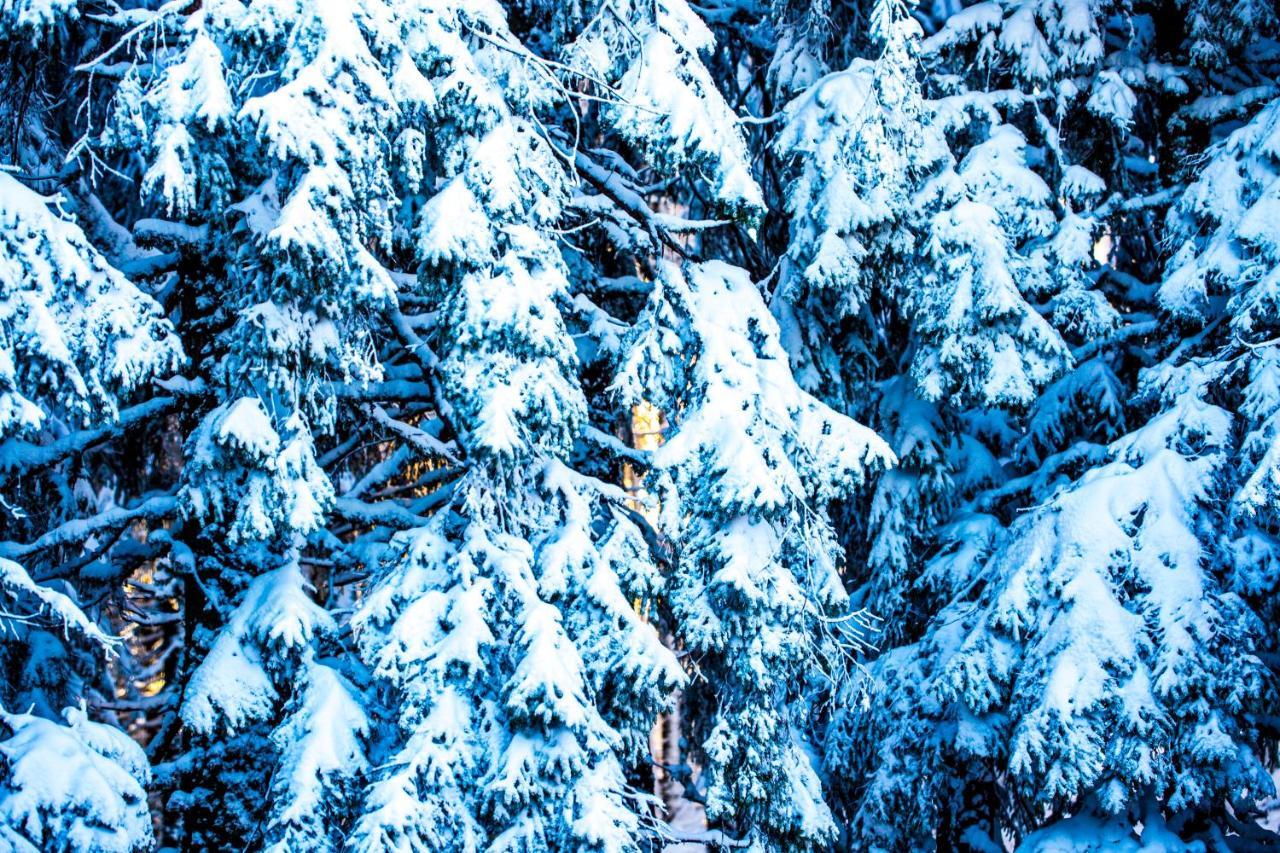 Sunny Hills Ski&Wellness Pamporovo Esterno foto