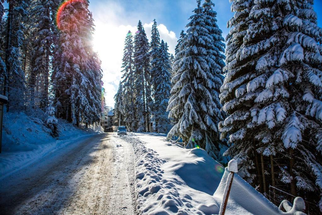 Sunny Hills Ski&Wellness Pamporovo Esterno foto