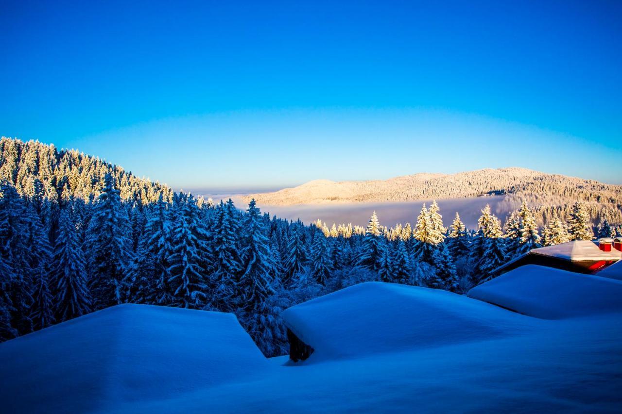 Sunny Hills Ski&Wellness Pamporovo Esterno foto